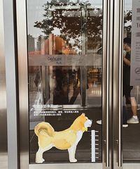 [����]�������ǳ����Ѻó���TOP�ɣ��̳��г������������԰