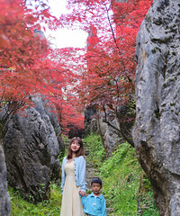 �������ҵ����ܱ���İ���̩��20����̫�����