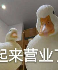 ������ֵ�������ֵ�������Һ6Һ2��19������ե֭��39