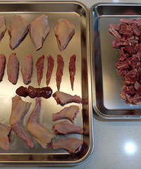 ������Ƭ�������³��Ķ�����