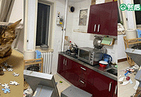 ��¥�޹���è�ڼҰ����̻����ˣ����ù����ڼ�