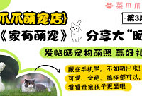 发帖晒宠物萌照,赢好礼
