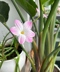 �����ǣ�һ��һ��ͼ��������ҵ���������ѽ