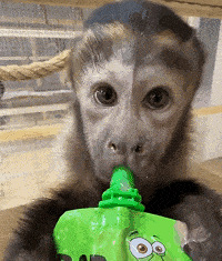 ������ֵ����ܽ��е�ֺ���Ĥ11Ƭ69���������ϲݸ�2��27