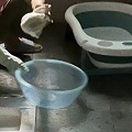 婆子妈总喜欢没苦硬吃