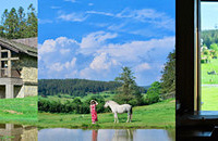 ���������ҵ����ܱ���İ���̩��