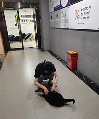 DE���ϰ�˵Ҫ��è�����������������ò������