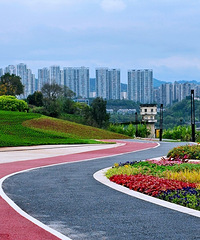 ��Ϯ�������ɣ���������2024��ע����Ϊ������뵺�Ľ���Ԫ��