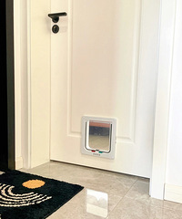 ֻ��3�����ɸ㶨è�Ŷ���װ���Լ����־���װ