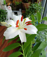 ʱ��2�����£��ⴰС��̨�ĵ�һ��ٺϿ���