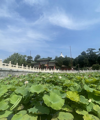 除故宫国博等,北京旅游景区全面取消预约