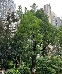 �����˱��ϣ���ҵ�ò��ã��̻��;����ܷ�ӳ��һ��