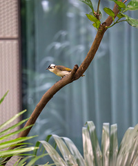 �����ĸ�С����˯���ֿ���~