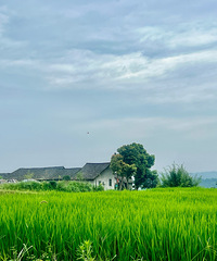 �����ϲ�������Ƭ����̫����