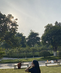 28���з��д����������飬ϣ���Է�̤ʵ����