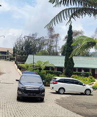 ӡ᣺һ뺣ˮһɽȥ˻ȥ