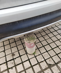 ����׮�����ǿӰ��������״���ȫû��Ӧ����������