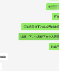 [����]��ô�죿�Ҽ�è��Ϊ¥���ھ���è������ȷ�ｹ����