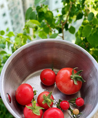 ��ʱ��5���£����ڳ�����̨�ֵķ�����