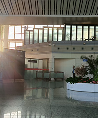 11�쾭���ݵ���ʲ���������У������½��Ĵ���