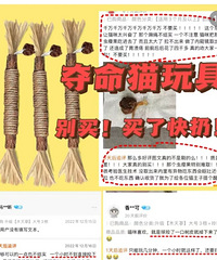 ������è���ӵģ��������������