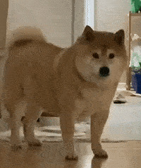 ������ֵ���򡿻�԰��ţ��3��79��������߰�40֧29