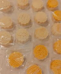 С����˵�쵽�����ˣ��Ȱ��±�������˵