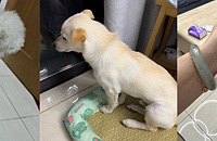 �������������ȱ������ӻ����ˣ�������Ѫѹ���