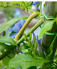 ����ʲô�氡��������һ���ÿ��£�*��С����*