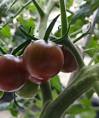 �����������������������ջ�4��