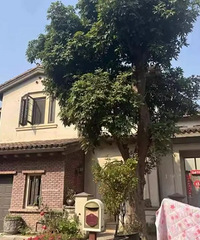 [�ɻ�]�������Ǯ�˶���ô�ˣ��������ö����½��������