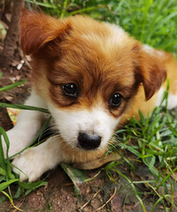 �������ţ�����˵�������������ˣ����˲�˵���߹�