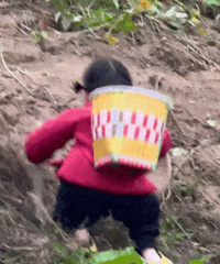 ������ֵ������ǹ����Ҷ��ˮ19��ǿ��������˫����6Ƭ38