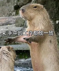 ������Щ�°��Ľ�ѹС���У�
