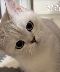 �����ǣ����Ƕ�����ôϴèɰ���ѽ