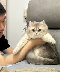 90182CM޴ĸ飬ϣԷ163