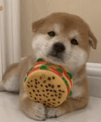 ������ֵ������˼����ɹ4֧39�����һ�����ڿ�5��14.9