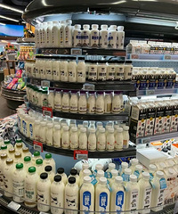 һ��˵һ������������NO.1��ţ�����ĸ���