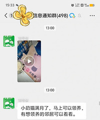 ����Χ�ۣ��ھ�˵��������=��Т˳���裬��ë����