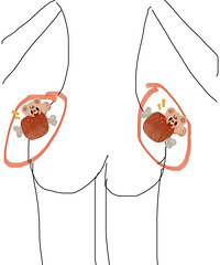 θˣ⣬ʵҲа취ģѧϰ