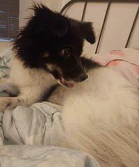 ��5000+�����˱�����Ե�Ĺ�����3�������