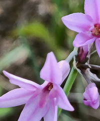 90갮Լݺ¶Ӫĸ飬ϣԷ158