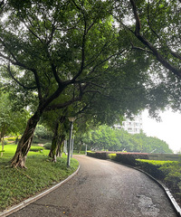 ��©�������������ƺ���2�����ۣ�