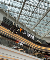 ֱ������������ֿ�ҵ����������ĵ�ʮ���������