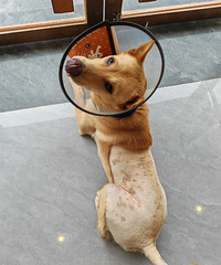 [����]�㶫�������ÿ��£�è����Ƥ�����ˣ�����ͺ������ҩԡ