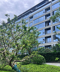 ����Ļǽ�������Ƿ���