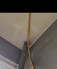 卫生间漏水到楼下了,谁能补补?