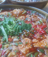 ���ɶ�����ȥ�Թ���ң��öǶ����㵰��OK��