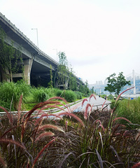 [����]�޶���ĩ�����ˣ���Ϊ�ҳ����������ô������������