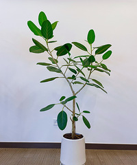 ������̨�ֻ��������Ϲϣ���ͷ���û�ͦ��